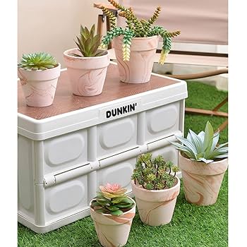 Amazon.co.jp: [ADSNS] おしゃれ 植木鉢 ピンク グラデーション